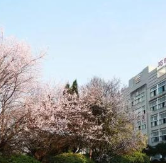 四川矿产机电技师学院